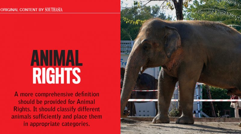 Animal Rights