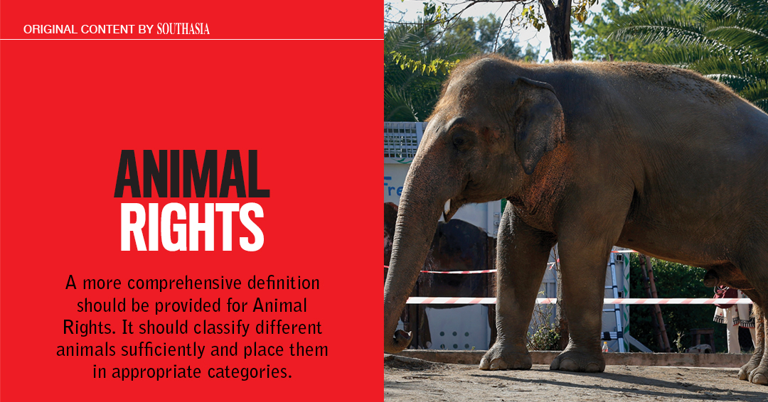 Animal Rights | SouthAsia