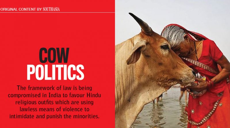 Cow Politics