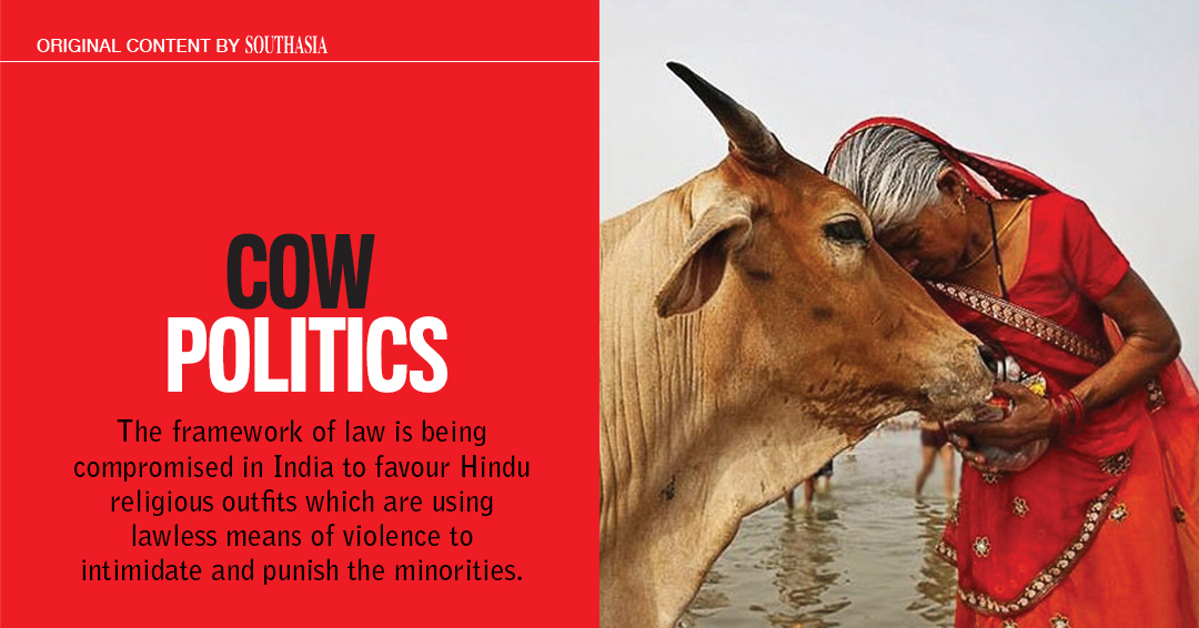 Cow Politics | SouthAsia