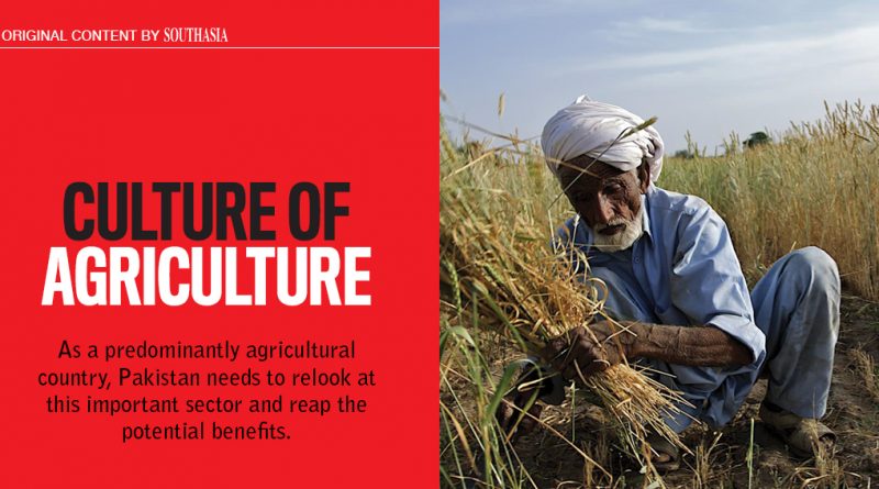 Culture of Agriculture