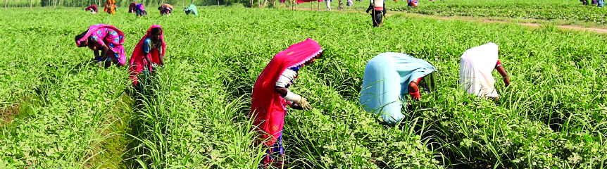 boosting-agriculture